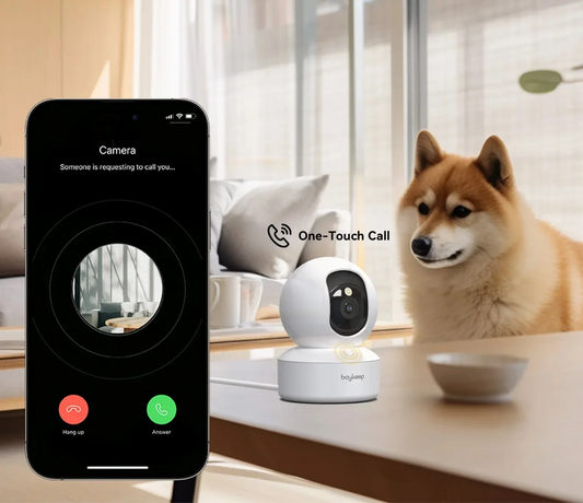 360° Indoor Dome Security Camera